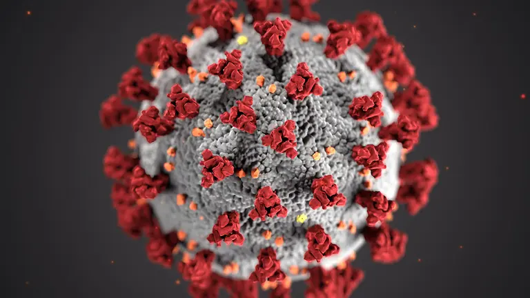 Coronavirus SARS-CoV-2 de CDC en Unsplash